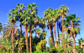 Superbe Apt avec Vue sur les Jardins Majorelle, Face au Musée YSL, Rue Yves Saint Laurent